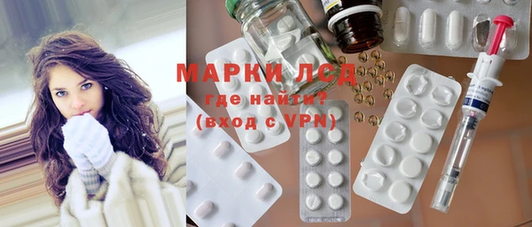 прущий лед Алзамай